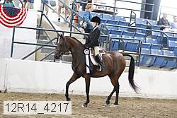 12r14_4217 thumbnail