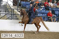 12r14_4323 thumbnail