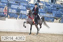 12r14_4362 thumbnail