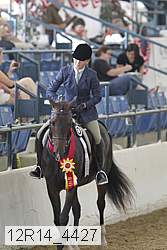 12r14_4427 thumbnail