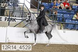 12r14_4529 thumbnail