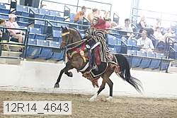 12r14_4643 thumbnail