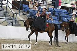 12r14_5232 thumbnail