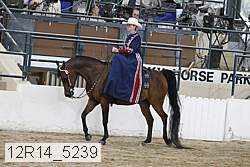 12r14_5239 thumbnail