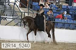 12r14_5240 thumbnail