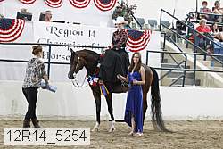 12r14_5254 thumbnail