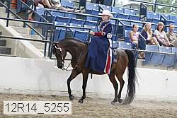 12r14_5255 thumbnail