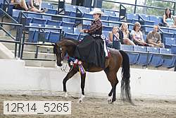 12r14_5265 thumbnail