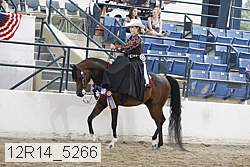 12r14_5266 thumbnail