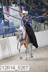 12r14_5267 thumbnail