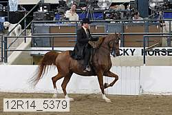 12r14_5379 thumbnail