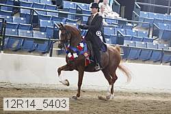 12r14_5403 thumbnail
