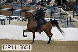 12r14_5654 thumbnail