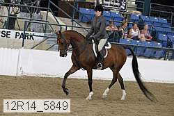 12r14_5849 thumbnail
