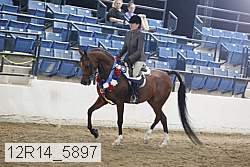 12r14_5897 thumbnail