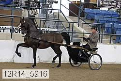12r14_5916 thumbnail