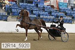 12r14_5920 thumbnail