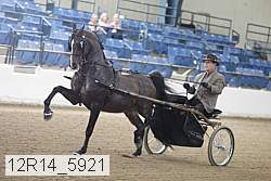 12r14_5921 thumbnail