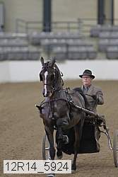 12r14_5924 thumbnail
