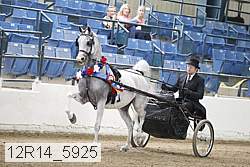 12r14_5925 thumbnail