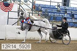 12r14_5926 thumbnail
