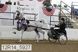 12r14_5927 thumbnail