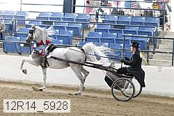 12r14_5928 thumbnail