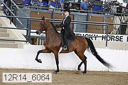 12r14_6064 thumbnail