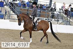 12r14_6197 thumbnail