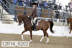 12r14_6202 thumbnail