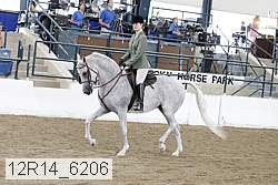 12r14_6206 thumbnail