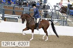 12r14_6207 thumbnail