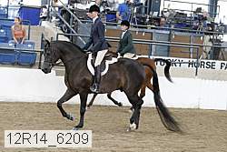 12r14_6209 thumbnail