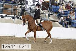 12r14_6211 thumbnail