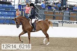 12r14_6216 thumbnail