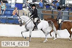 12r14_6218 thumbnail