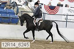 12r14_6245 thumbnail