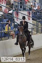 12r14_6313 thumbnail