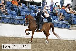 12r14_6341 thumbnail