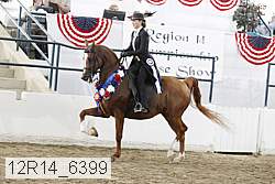 12r14_6399 thumbnail