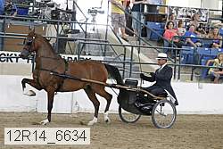 12r14_6634 thumbnail