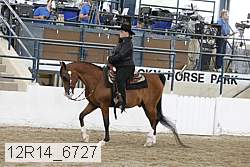 12r14_6727 thumbnail