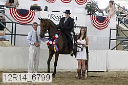12r14_6799 thumbnail