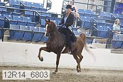 12r14_6803 thumbnail