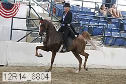 12r14_6804 thumbnail
