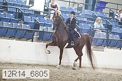 12r14_6805 thumbnail