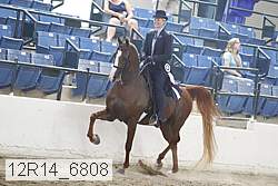 12r14_6808 thumbnail