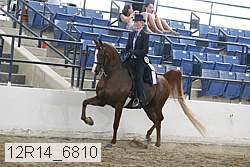 12r14_6810 thumbnail