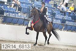 12r14_6813 thumbnail