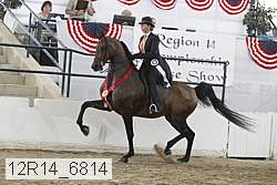 12r14_6814 thumbnail